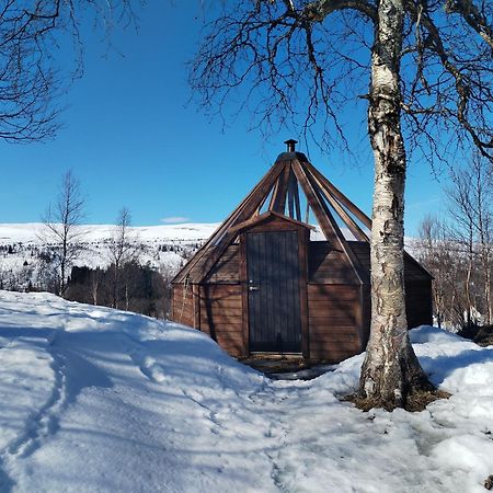 Hessdalen Ufocamp Διαμέρισμα Vårhus Εξωτερικό φωτογραφία