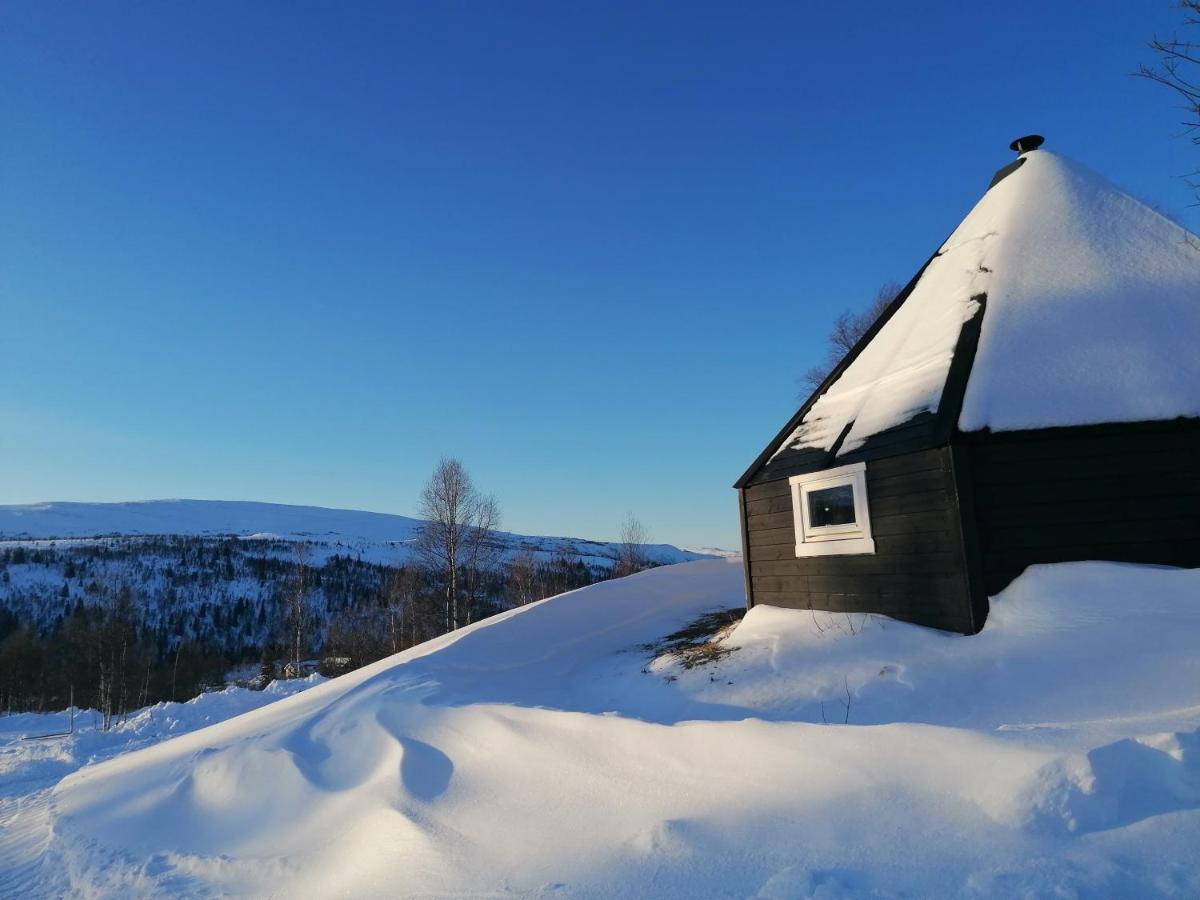 Hessdalen Ufocamp Διαμέρισμα Vårhus Εξωτερικό φωτογραφία
