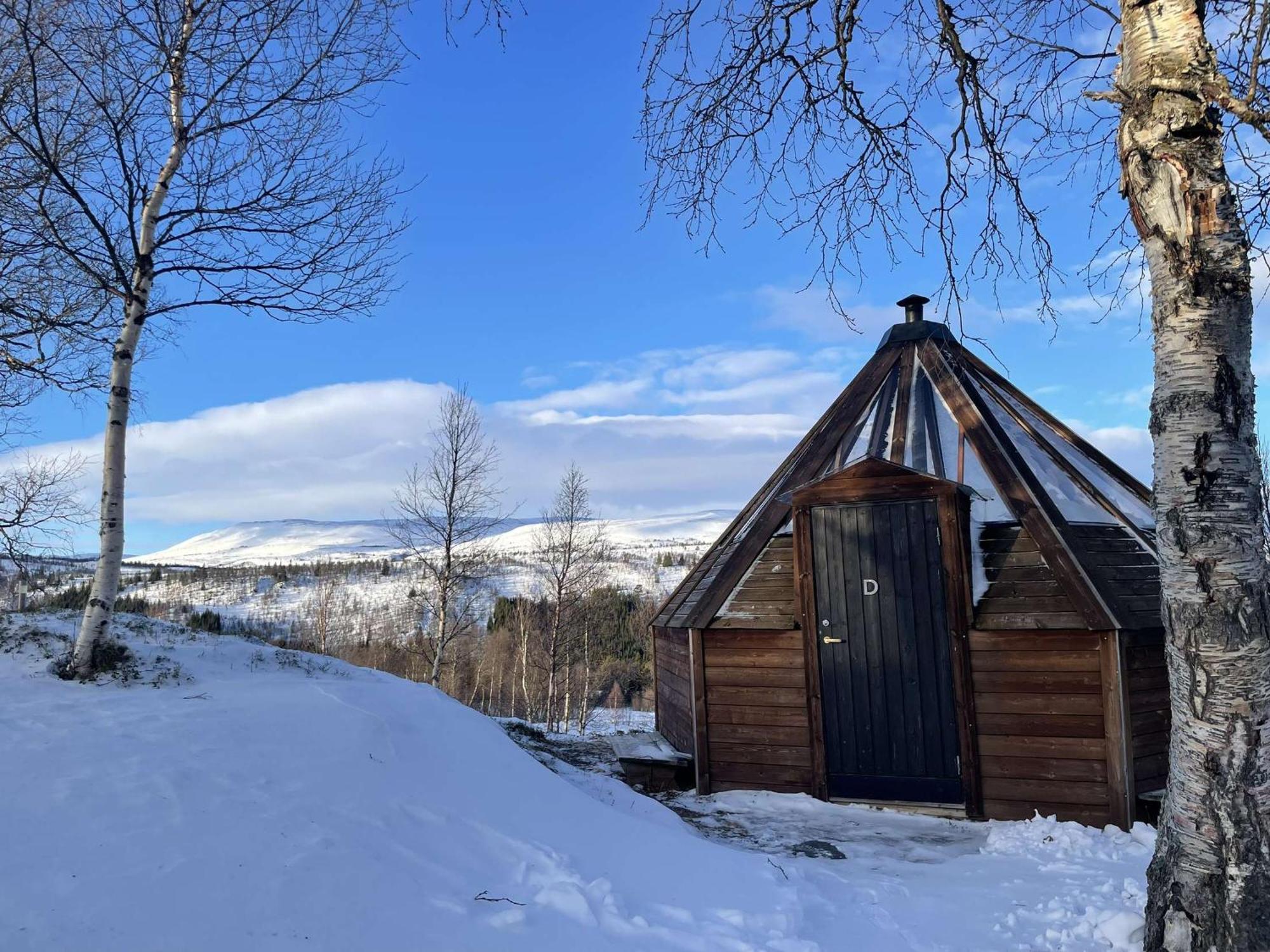 Hessdalen Ufocamp Διαμέρισμα Vårhus Δωμάτιο φωτογραφία