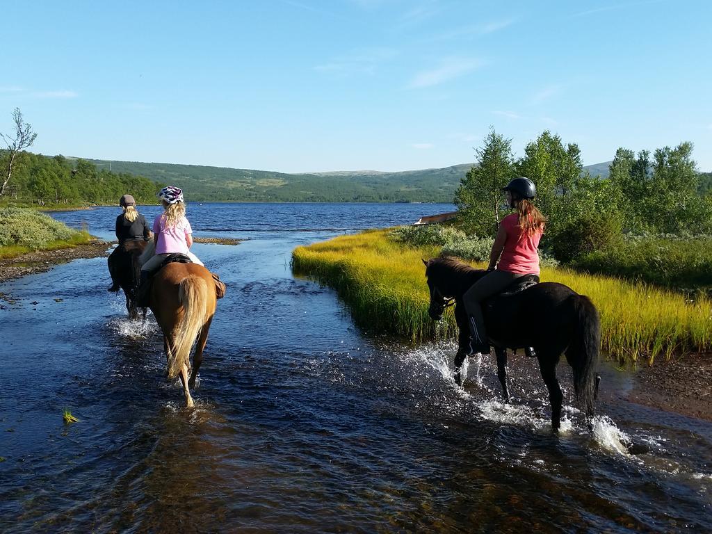 Hessdalen Ufocamp Διαμέρισμα Vårhus Εξωτερικό φωτογραφία