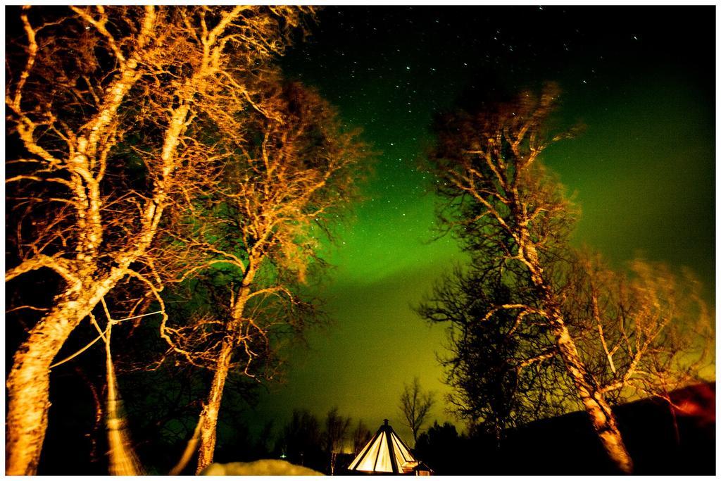 Hessdalen Ufocamp Διαμέρισμα Vårhus Εξωτερικό φωτογραφία