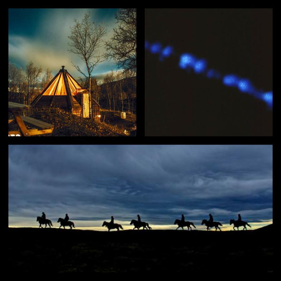 Hessdalen Ufocamp Διαμέρισμα Vårhus Εξωτερικό φωτογραφία